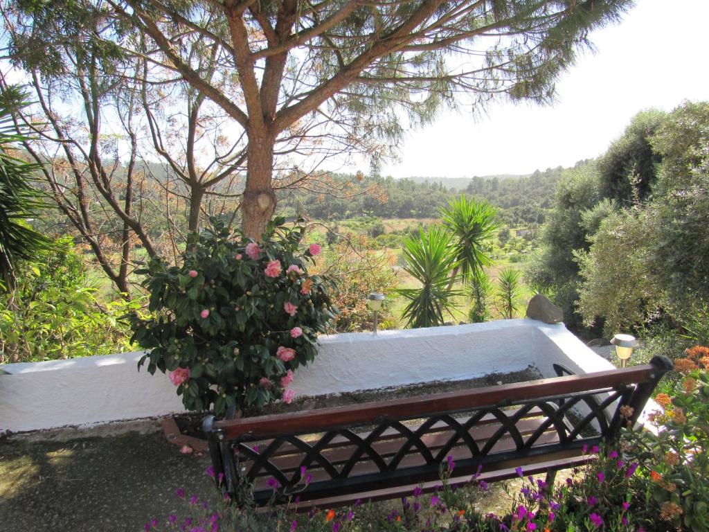 My House - Casa Charme photo