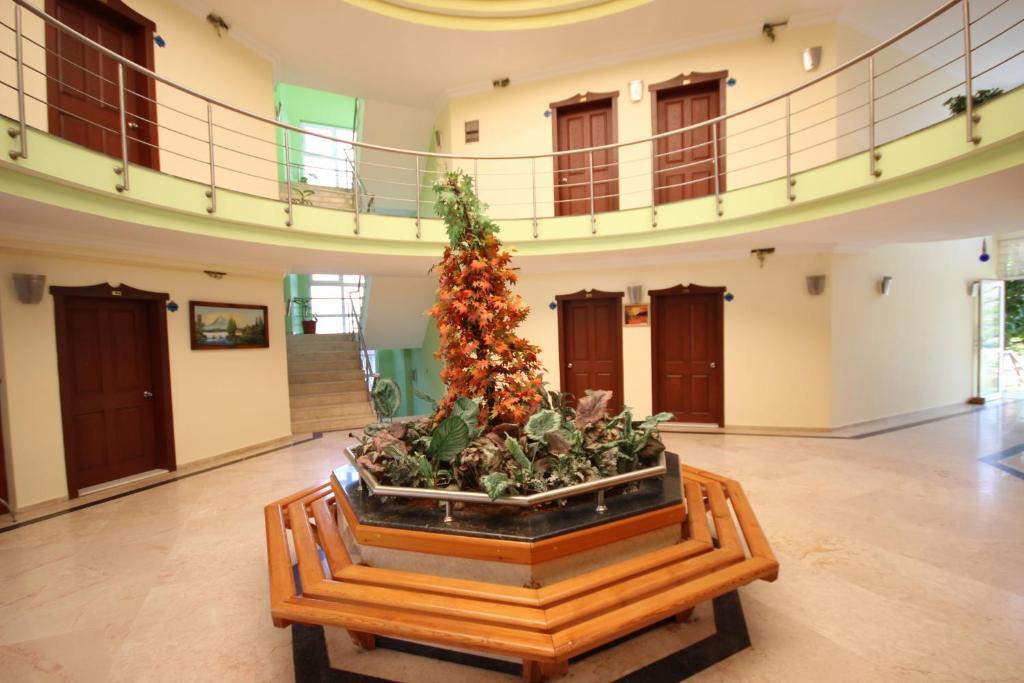 Minta Apart Hotel photo