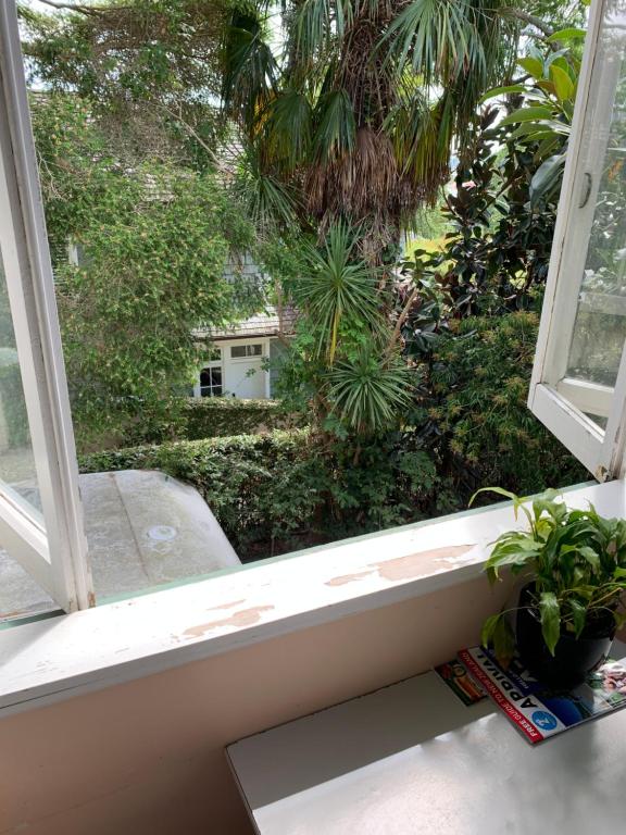 City Garden Lodge Backpackers photo