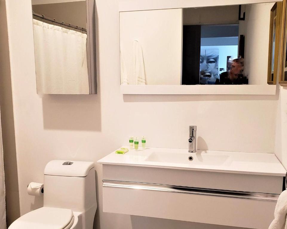 KASA The Lofts of Old San Juan 202 HUGE 2 Bed 2 bath for 6 Interior Terrace photo