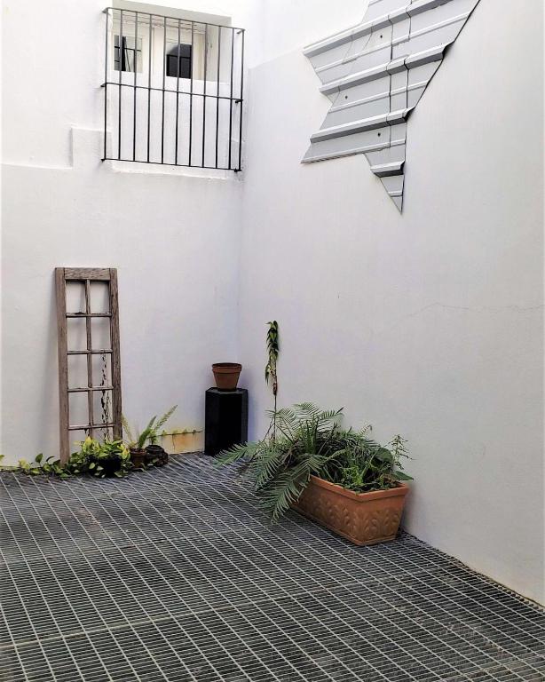 KASA The Lofts of Old San Juan 202 HUGE 2 Bed 2 bath for 6 Interior Terrace photo