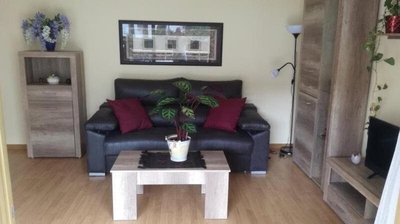 100m2 big apartment private garden and pool/ 100m2 gran apartamento jardin privado y piscina / Acogedor apartamento en zona tranquila y agradable - 3