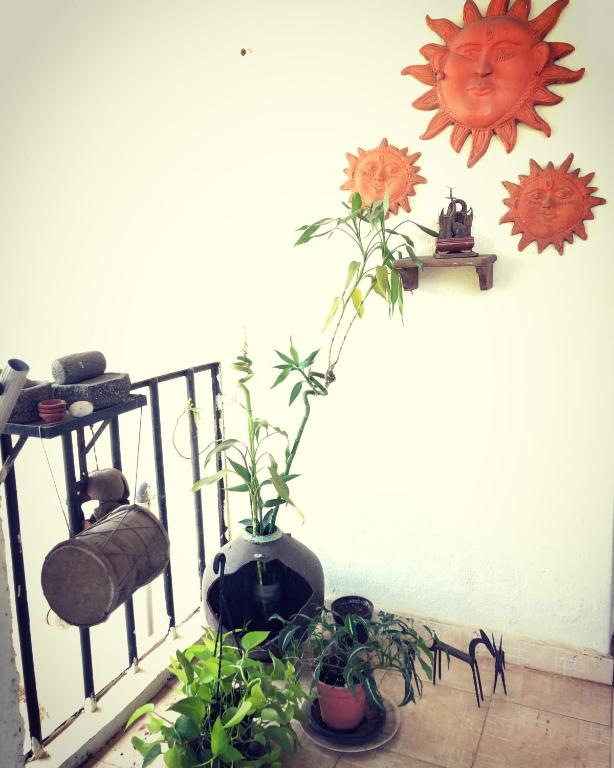 Hotel Paulino photo