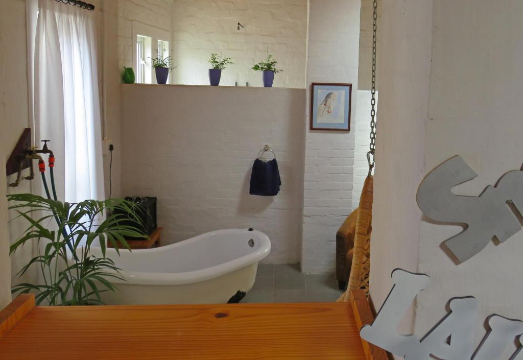 Alternative Space B & B photo