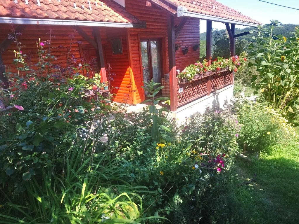 Guest house Little Heaven photo