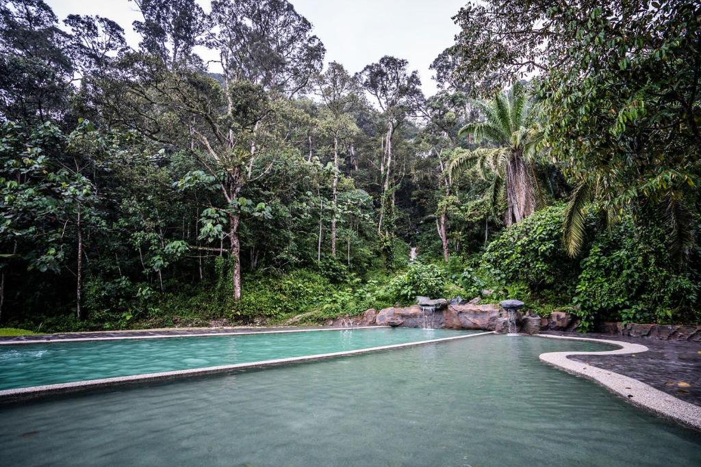 Surrounding environment