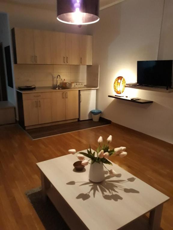 Dvori Apartments - 5
