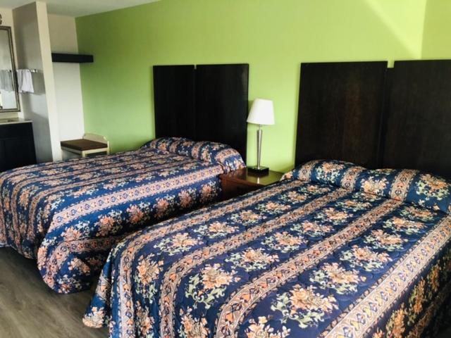 Flamingo Beach Inn photo
