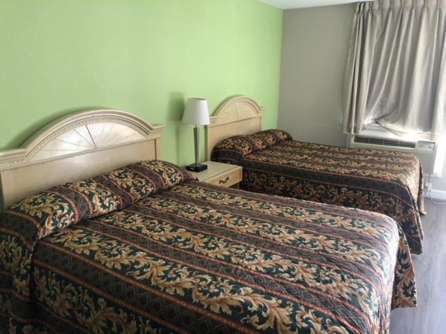 Flamingo Beach Inn photo