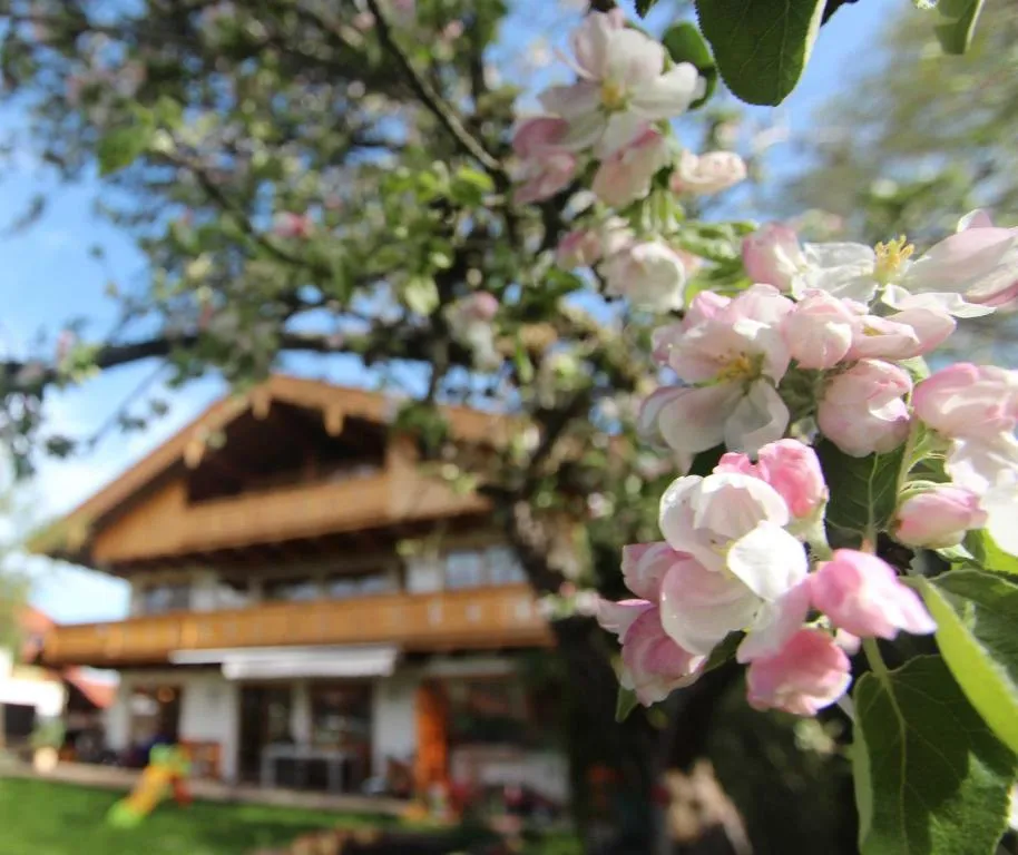 Appartementhaus Schirsner - direkt am See & am Kurpark, hotel in Schliersee