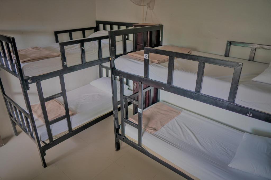 Blanco Beach Bar Hostel photo