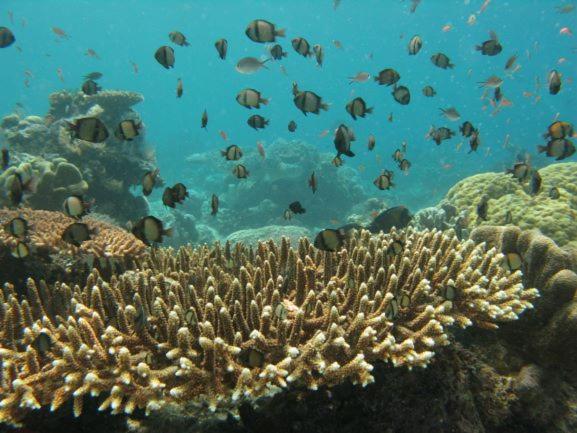 Surrounding environment