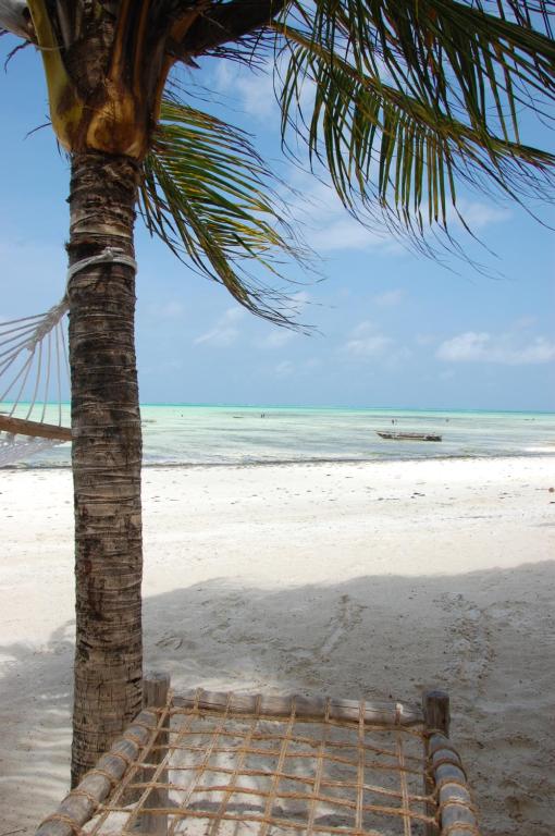 Sweet Beach Apartments photo