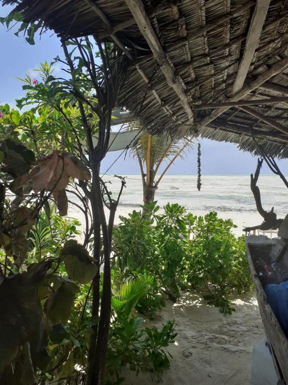 Sweet Beach Apartments photo