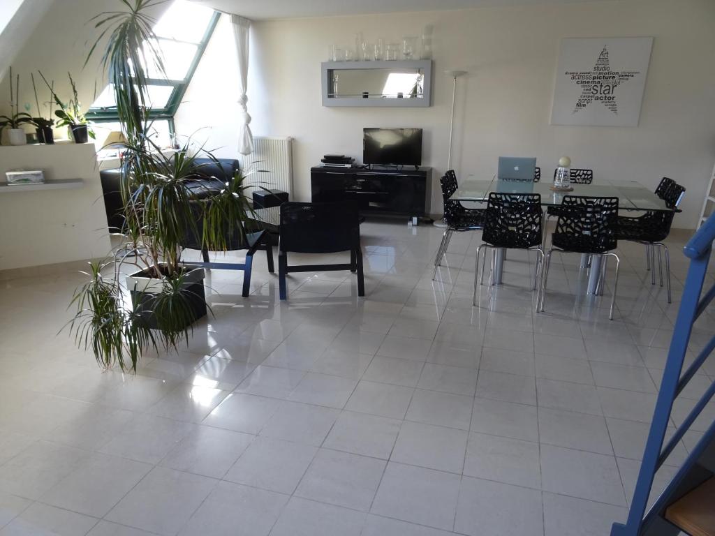 Duplex residence d'orléans - 3