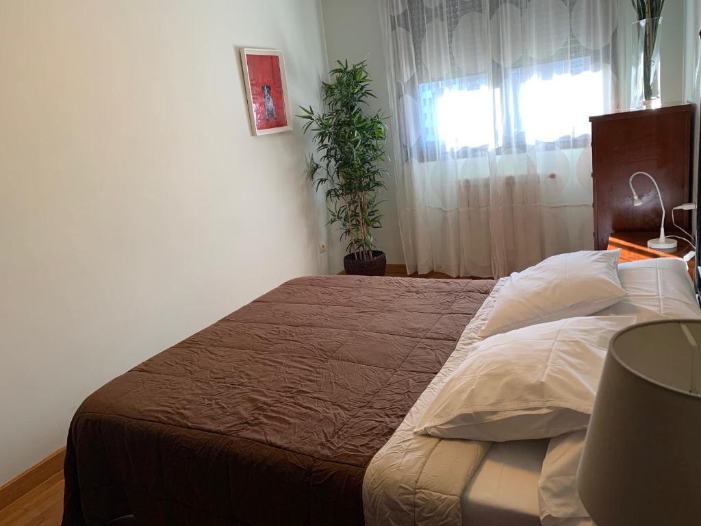 Apartamentos Confortarte - 4