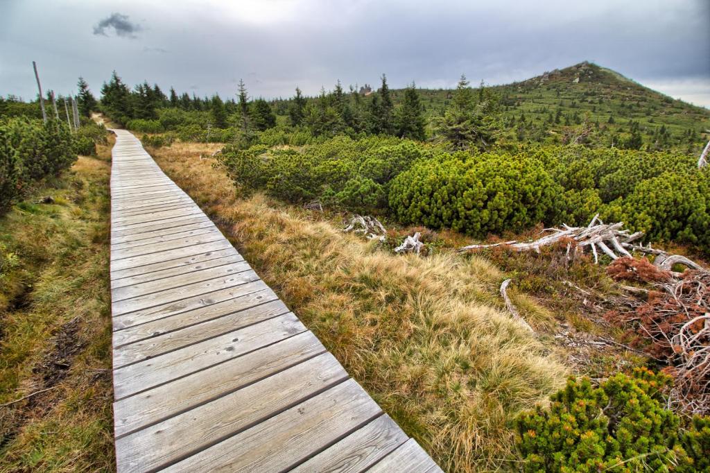 Surrounding environment