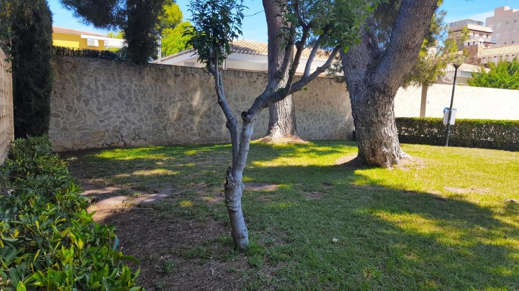 VILLA DEL DUQUE, GANDIA - ( Alquielr solo Familias ) - 5