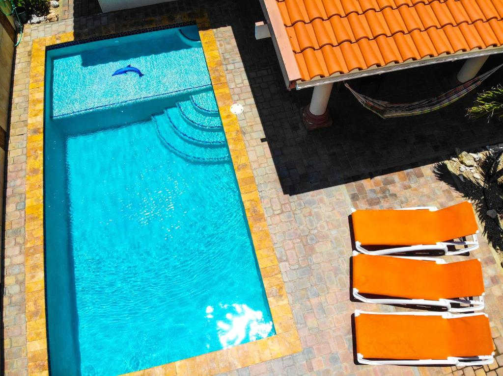 Villa Swiss Paradise with private pool — Hotel in Noord