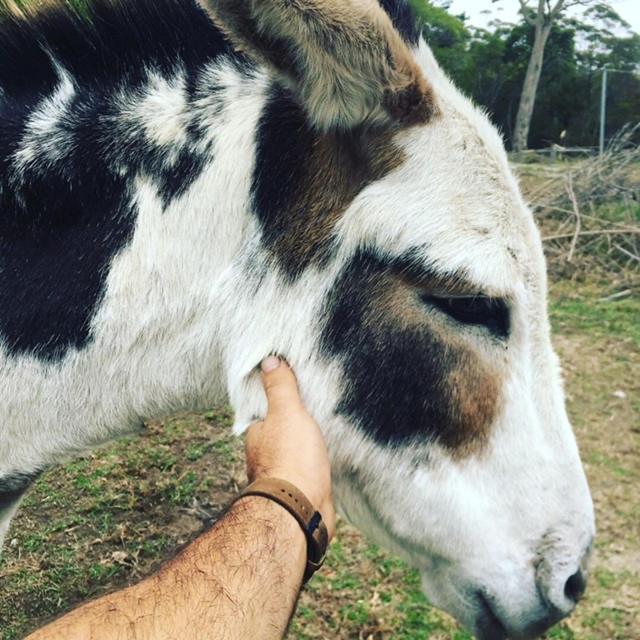Turicum AT Monkey Rock Winery & Cider, Parryville