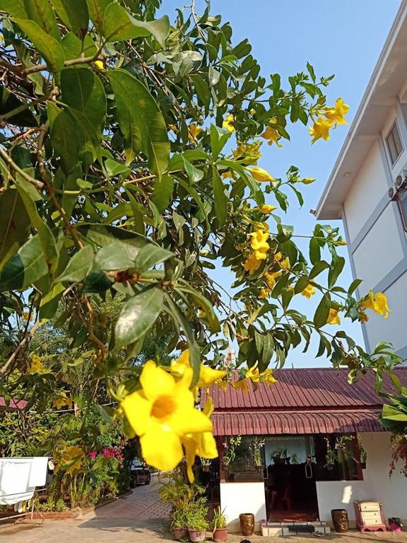 Reaksmey Meanrith Guesthouse and Residence photo