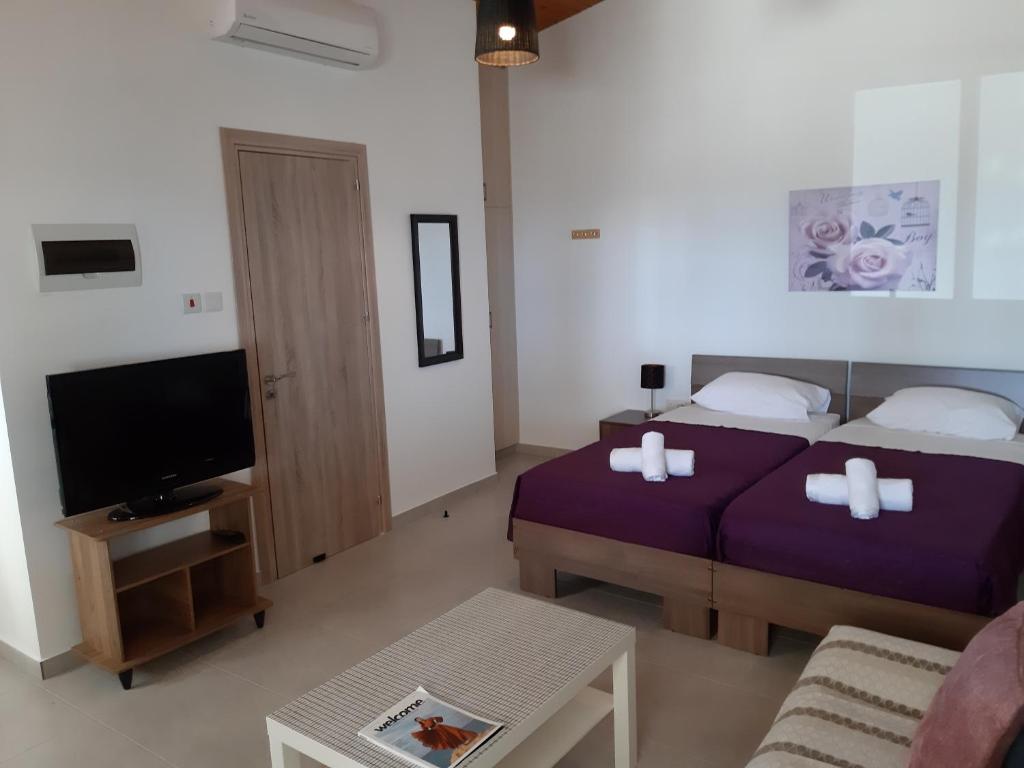 ZORBAS Sea View No 5 — Hotel in Nicosia