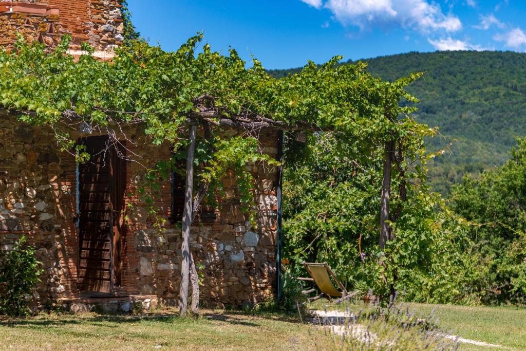 La Cerreta - Terme di Sassetta photo