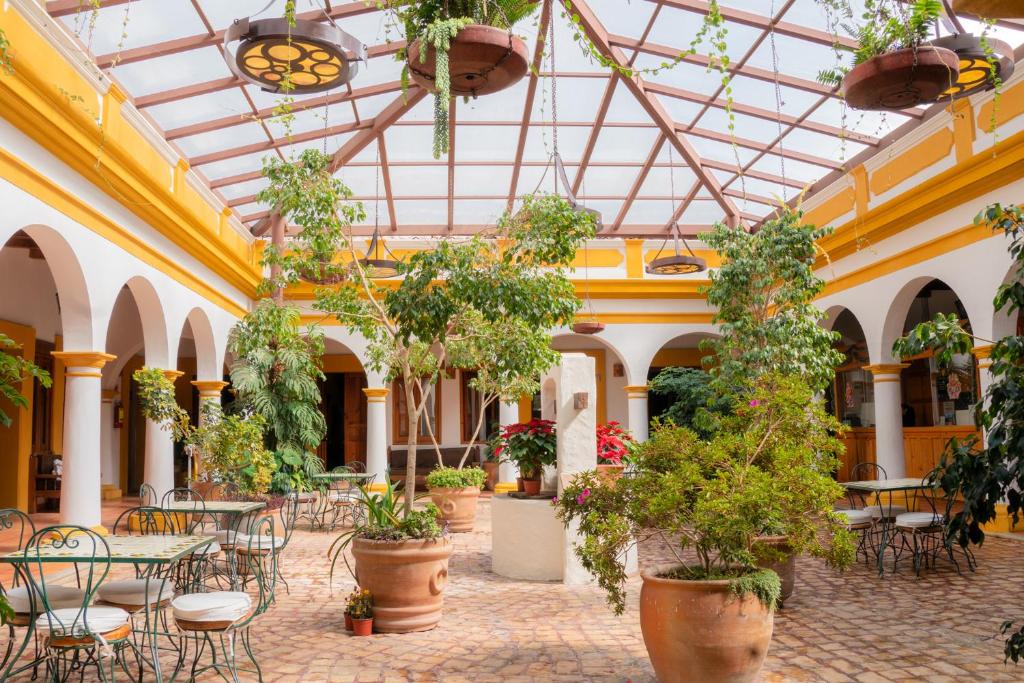 Hotel Casa Margarita - 5