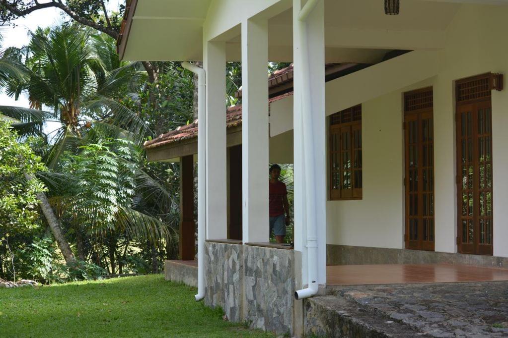 Primrose guest house шри ланка. Шри ланка зеленый отель. шри ланка галле вилла аврора. paradise holiday village 3 шри ланка. comfort village.