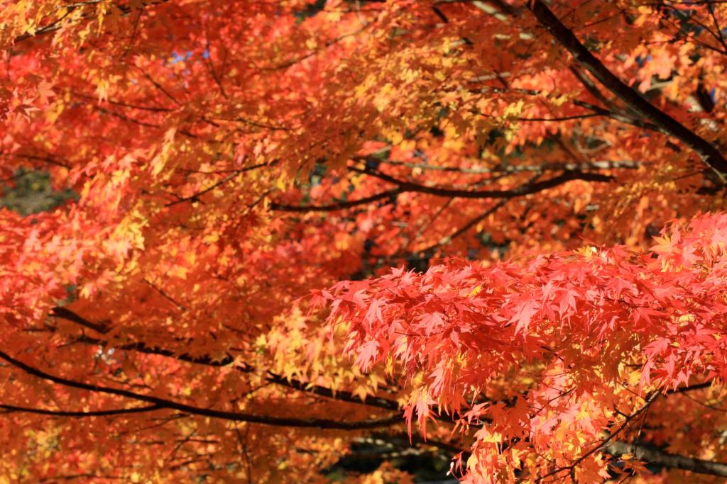 Surrounding environment