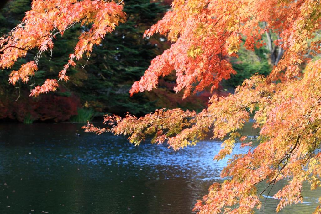 Surrounding environment