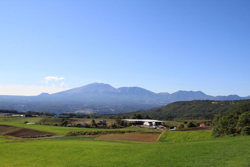 Surrounding environment