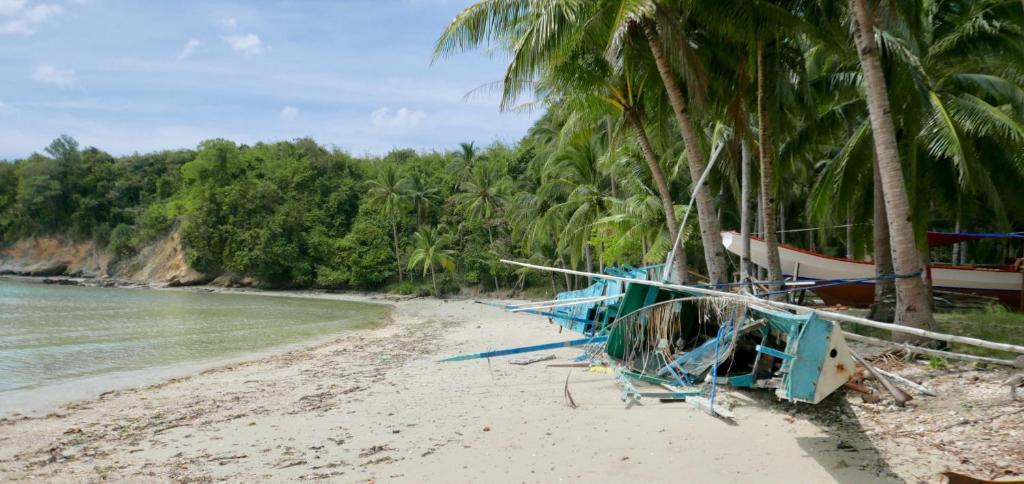 Acuario Beach Inn photo