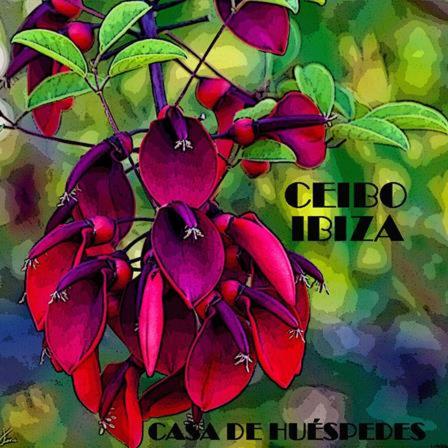 Ceibo Ibiza - Guest House — Hotel in Ibiza