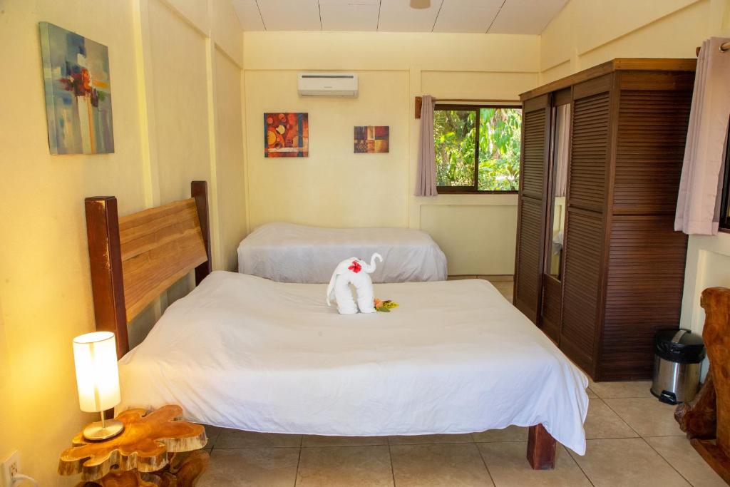 Jungle Lodge at Wild Sun Rescue Center photo