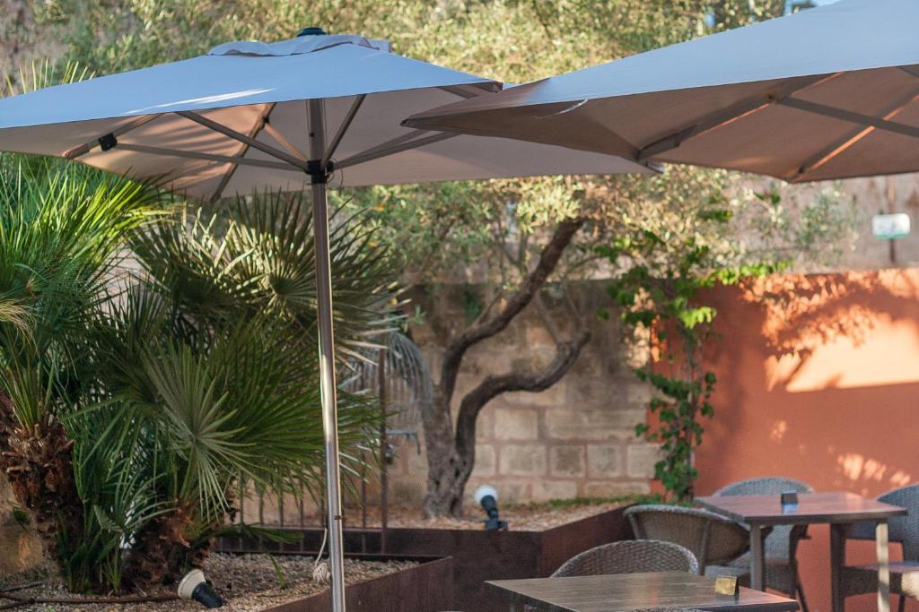 Alcudia Petit - Turismo de Interior — Restaurant & bars in Alcudia, Balearic Islands