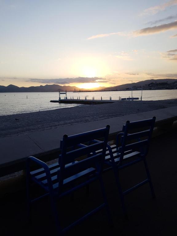++++ renovated cosy 50m2 sunny flat / balcony / close to beach and to the Palais des festivals ++++ - 1