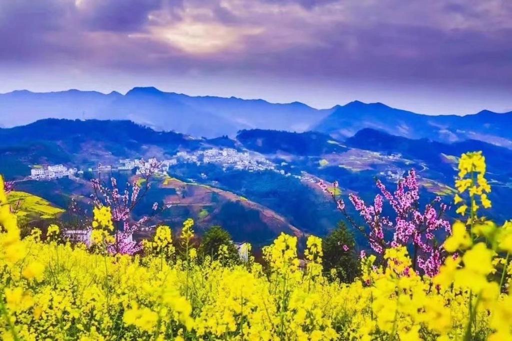 Huangshan Xishan Wutong Qinyuan photo