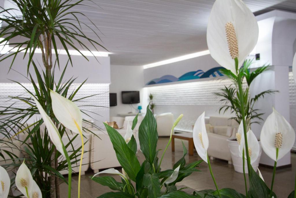 Hotel Villa Garbi photo