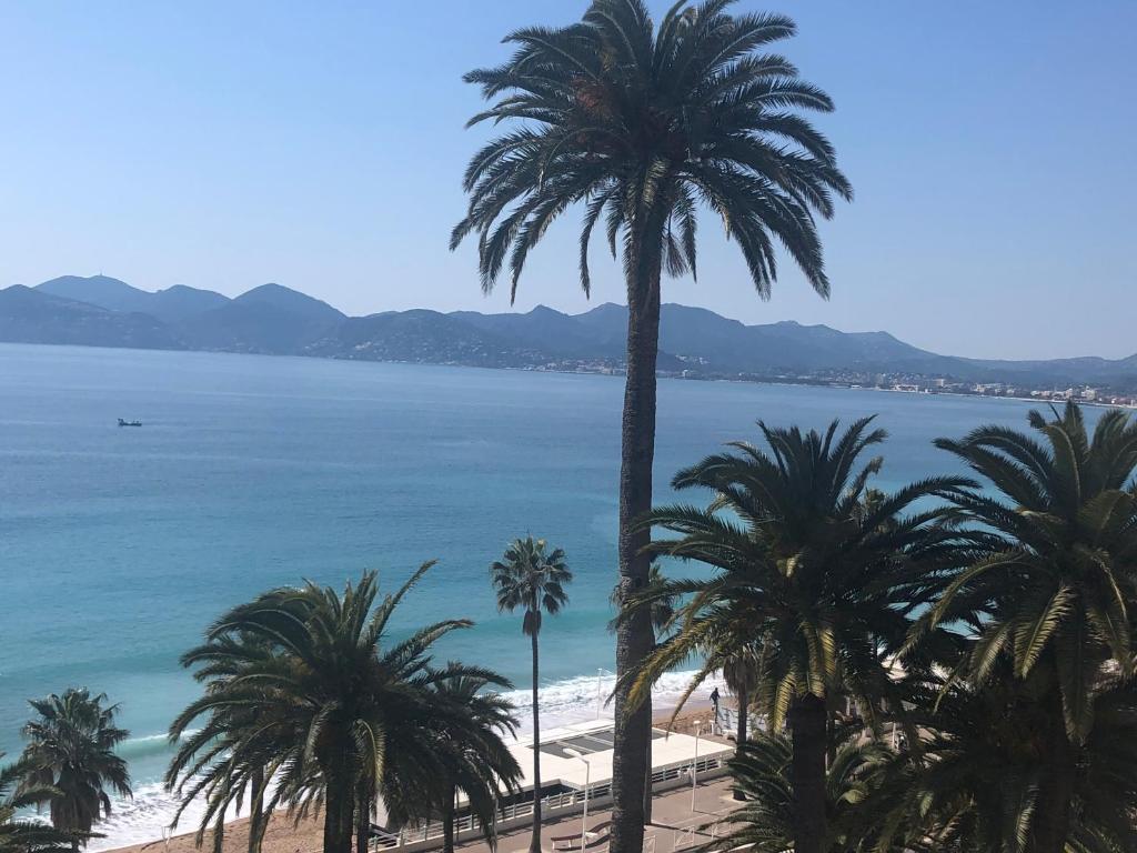 Coeur de Cannes - 1