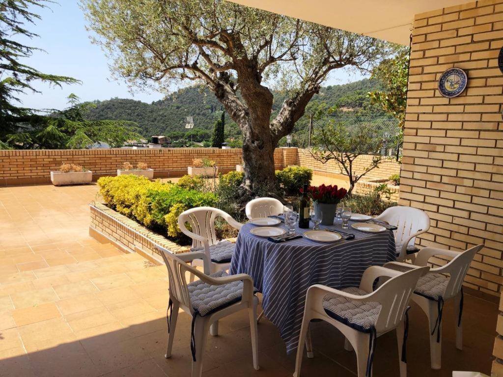 Kerstin Bruns- Casa el Molí - 3