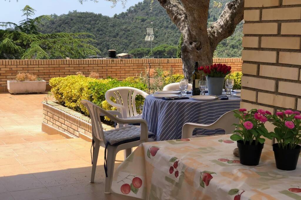Kerstin Bruns- Casa el Molí - 5