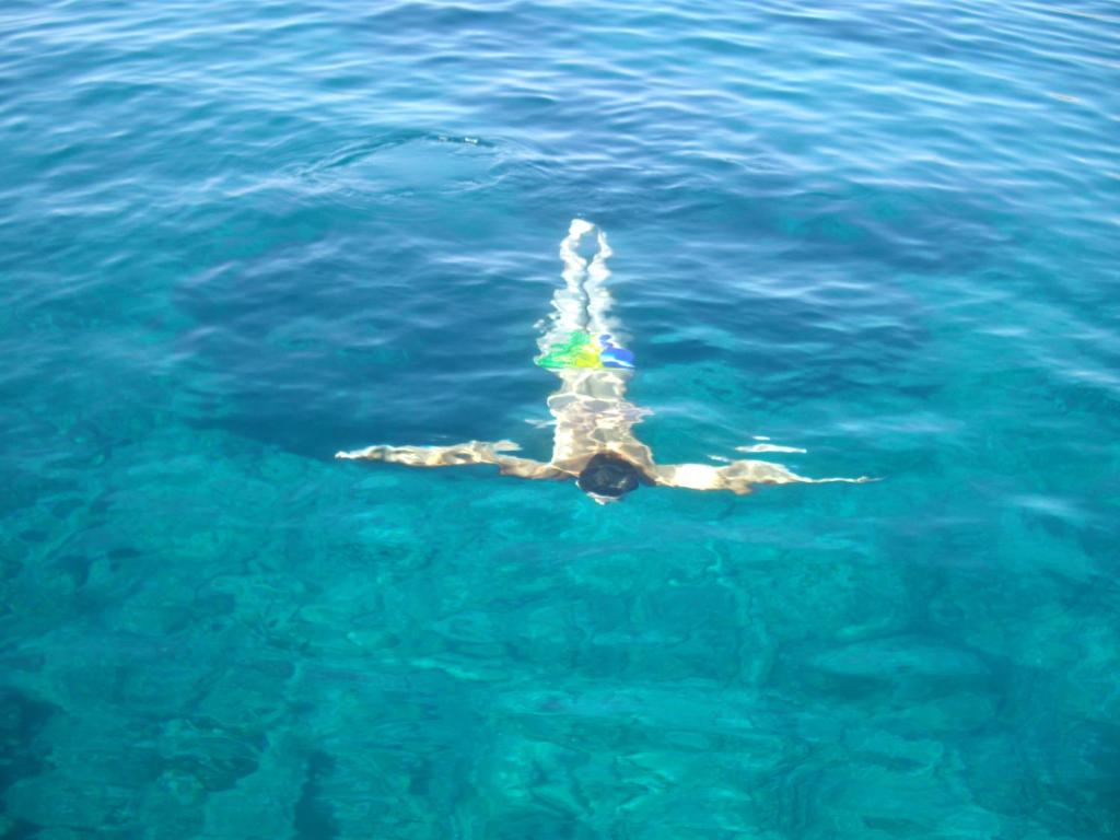 スポーツ/アクティビティ