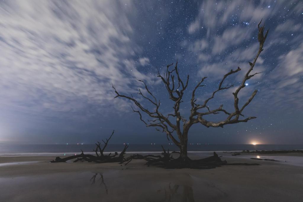 Surrounding environment