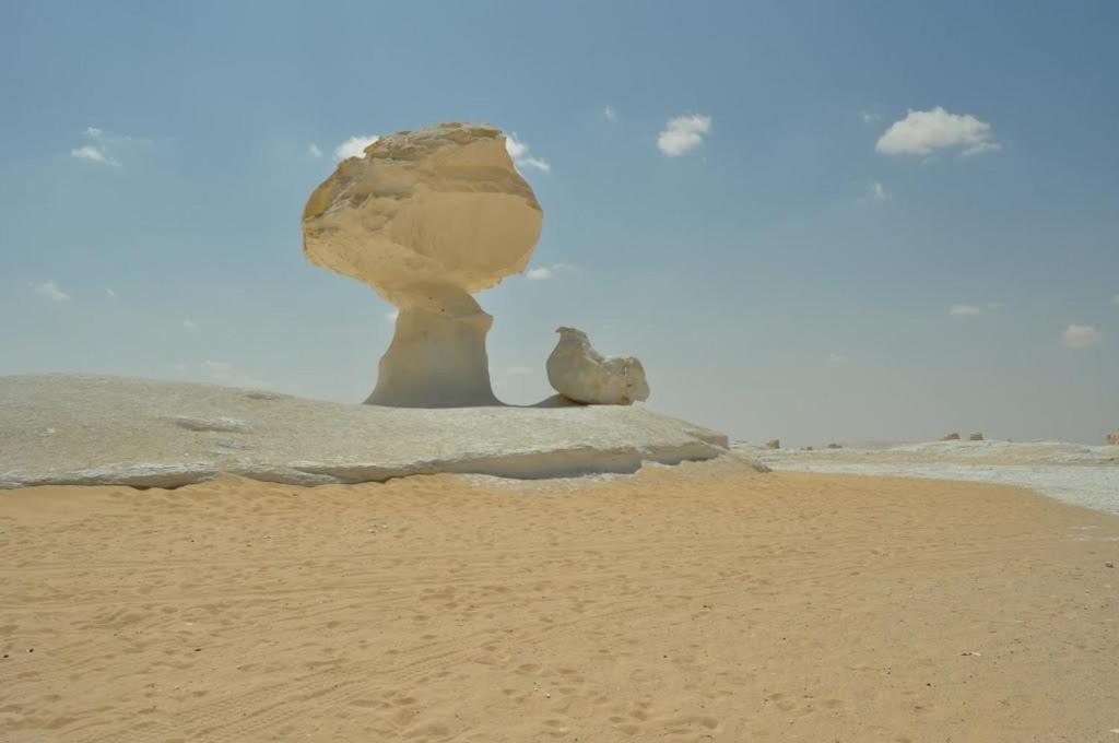 Badry Sahara Camp photo