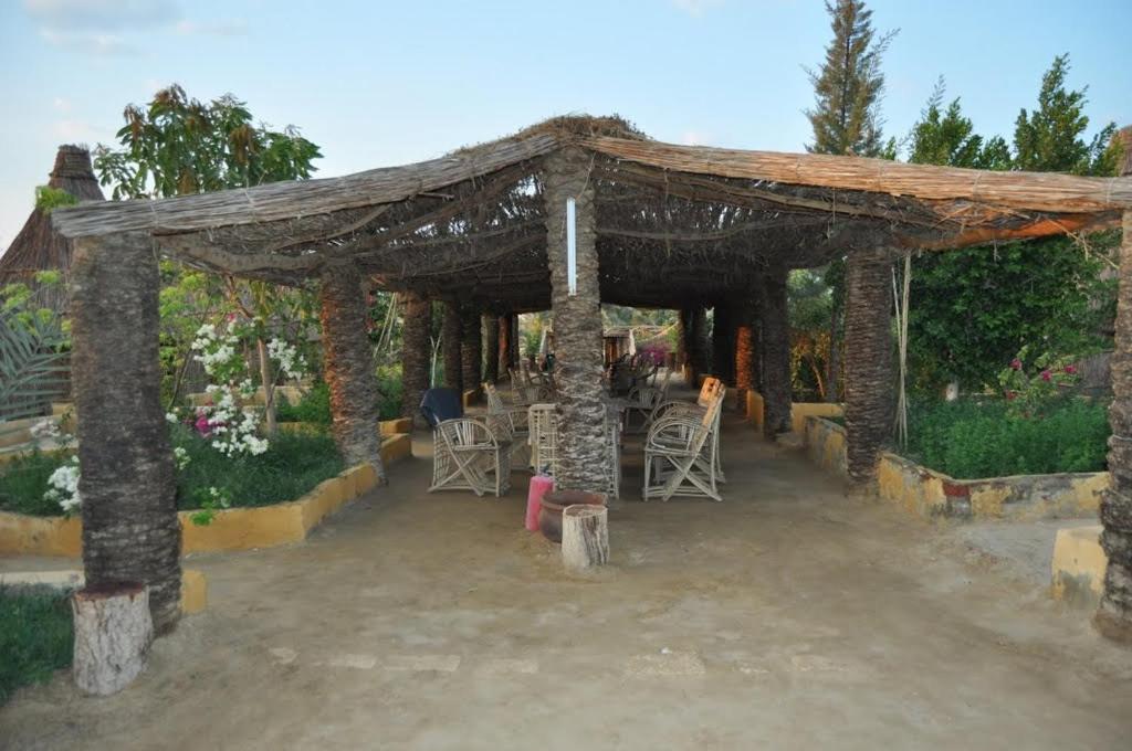 Badry Sahara Camp photo