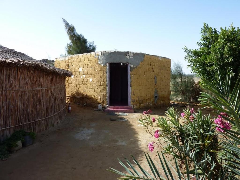 Badry Sahara Camp photo