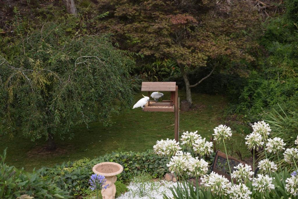 Bluebell Cottage photo