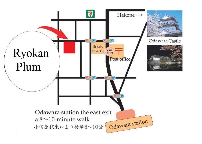 Ryokan Plum photo