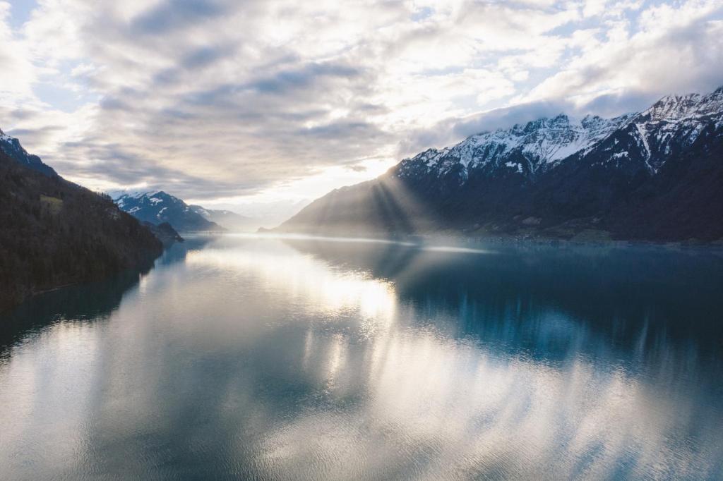 Surrounding environment